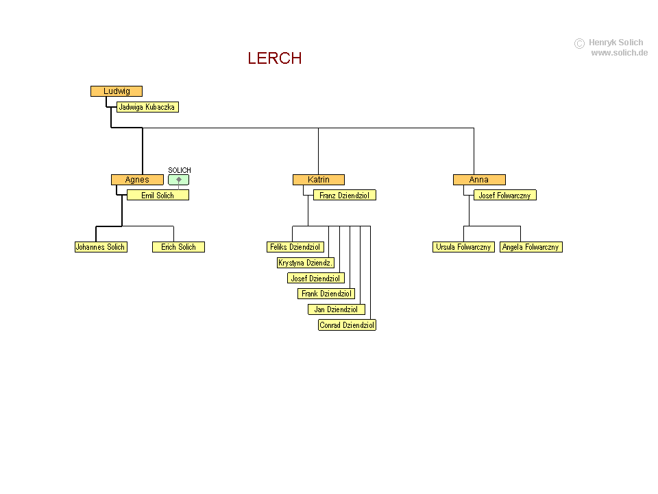 baum-solich1